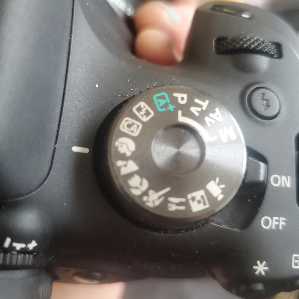 Canon T7 rebel EOS camera